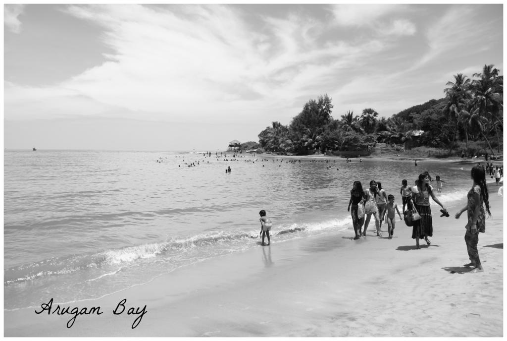 East Surf Cabana Vịnh Arugam Ngoại thất bức ảnh