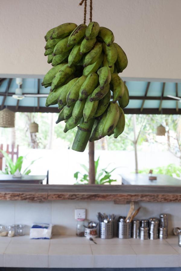 East Surf Cabana Vịnh Arugam Ngoại thất bức ảnh